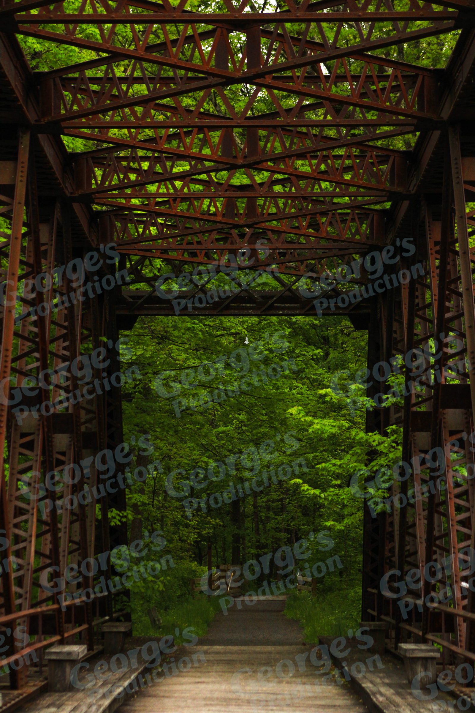Covered bridge interior surrounded by trees